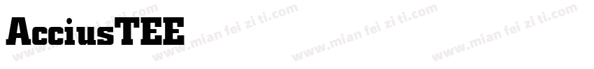 AcciusTEE Bold字体转换